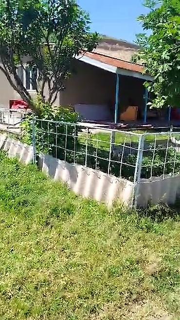 Продажа коттеджей и домов: Продаю дом+кошару в совхозе Ала-Тоо у подножия горы, есть условия для — 4