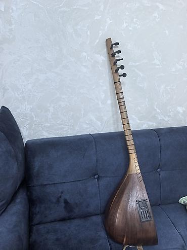 Milli musiqi alətləri: Elektro saz – ağac gövdəli, uzun saplı xalq çalğı aləti - Korpus — 3