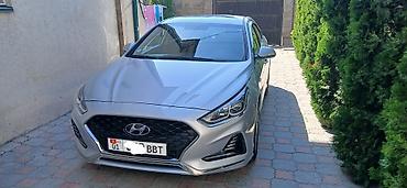 кия шума2: Hyundai Sonata: 2020 г., 2 л, Автомат, Газ, Седан — 1