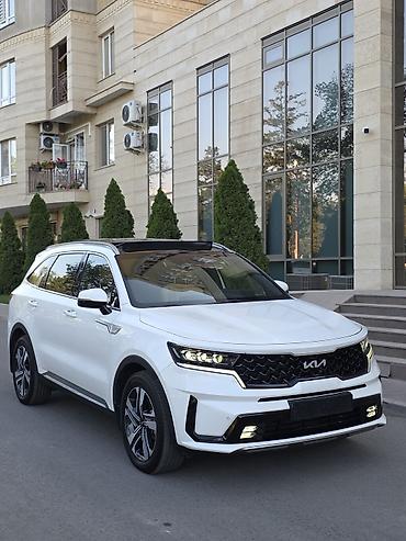 Kia: Kia Sorento: 2022 г., 1.6 л, Автомат, Гибрид, Кроссовер — 12