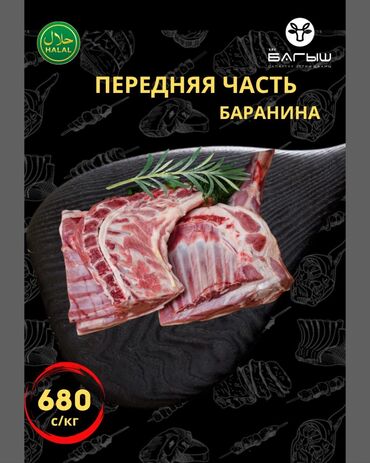 мясо конина цена бишкек: Баранина : До 1 кг, 1 кг, 2 кг, Самовывоз, Бесплатная доставка, Платная доставка