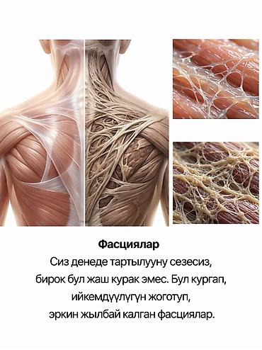 Массаж: Массаж чарчоону кетирет ооруну алдын алат зат алмашууну жана тамак — 2