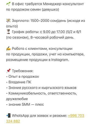 нижнее ала арча: Талап кылынат Сатуу боюнча менеджер, Иш тартиби: Алты күндүк, Толук жумуш күнү, Расмий жумушка орноштуруу