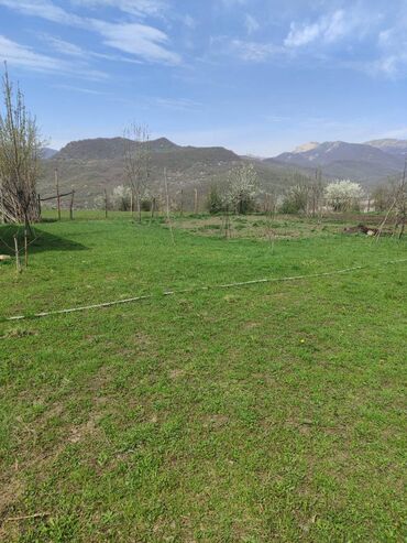 Günlük kirayə mənzillər: 2 otaqlı — 5