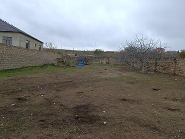 Torpaq sahələrinin satışı: 7 sot, Tikinti, Kupça (Çıxarış) — 5