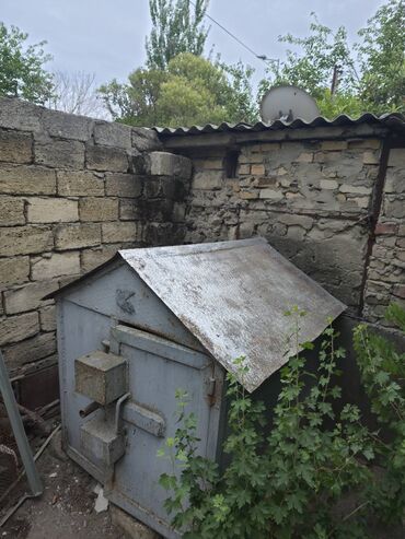 yerli inekler: Qus ucun butqa satilir. Son qiymet 500 azn.
30 eded goyercin yerlesir