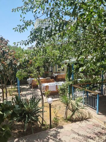 Restoran, kafelər: Yeni Günəşli V massivində yol kənarı,sahəsi 300kv/m olan,(10 sot — 6