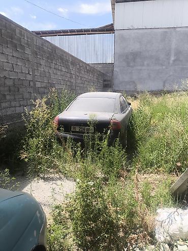 крыло для ауди: Авто не нахаду продам на запчасти — 1