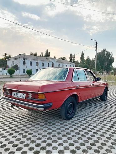 на мерс 123: Mercedes-Benz W123: 1981 г., 2 л, Механика, Дизель, Седан — 8