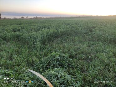 Продажа домов: Дом, 80 м², 8 комнат, Собственник, Старый ремонт at lalafo.kg — 11 Продажа домов: Дом, 80 м², 8 комнат, Собственник, Старый ремонт — 11