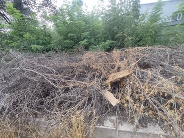 водный насосы: Отун Өзү алып кетүү