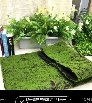 Digər bitkilər: Məhsul: Təbiətvi̇ zolaqlı yosun/mahov örtüyü – hazır plitələr Təsvir — 5