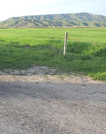 Həyət evləri və villaların satışı: 3 otaqlı, 100 kv. m, Orta təmir — 1