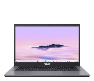 netbook packard bell: Acer