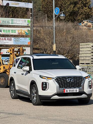 Hyundai: Hyundai Palisade: 2019 г., 2.2 л, Дизель — 1
