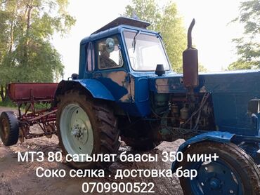 Тракторы: Трактор МТЗ-80