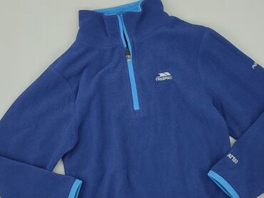 kurtki jesienne chłopięce: Sweatshirt, 3-4 years, 98-104 cm, condition - Good