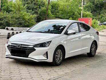 солярис 2019: Hyundai Avante: 2019 г., 1.6 л, Автомат, Газ, Седан
