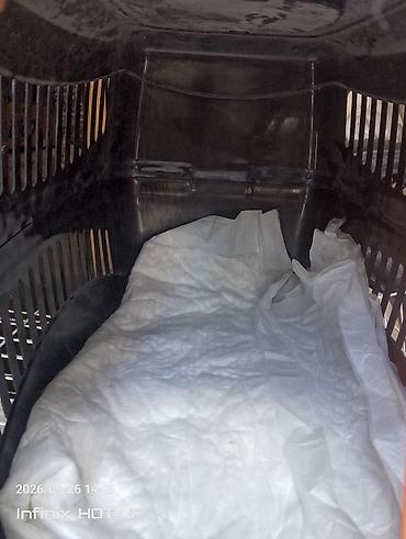 Plastik heyvan daşıma konteyneri - Ölçü: orta həcm (pişik, kiçik it lalafo.az -da Plastik heyvan daşıma konteyneri - Ölçü: orta həcm (pişik, kiçik it