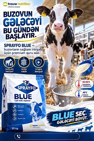 qusar heyvan satisi: SPRAYFO BLUE – Buzovlar üçün quru süd / süd əvəzedicisi Buzovlar üçün — 1
