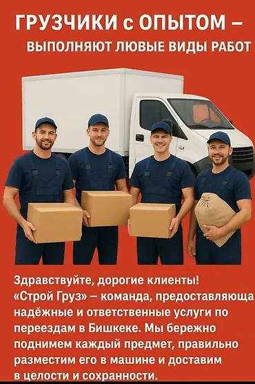 Грузчик. Больше 6 лет опыта