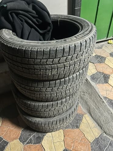 шины 13 бу бишкек: Шиналар 225 / 55 / R 18, Кыш, Комплект, Жеңил унаалар, Dunlop