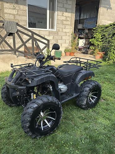 квадроцикл мини: Продаю квадроцикл Tiger Max Grade 150 на литых дисках Квадроцикл в — 2