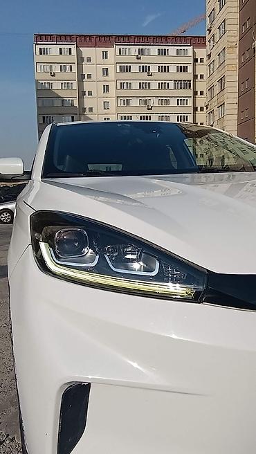 Weltmeister: Weltmeister EX5, 2021 г., 150000 км, Передний, На заказ — 3