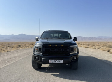 Ford: Ford F-150: 2019 г., 2.7 л, Автомат, Бензин, Пикап — 2