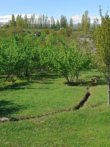 Həyət evləri və villaların satışı: 3 otaqlı, 130 kv. m, Kredit yoxdur, Təmirsiz — 19