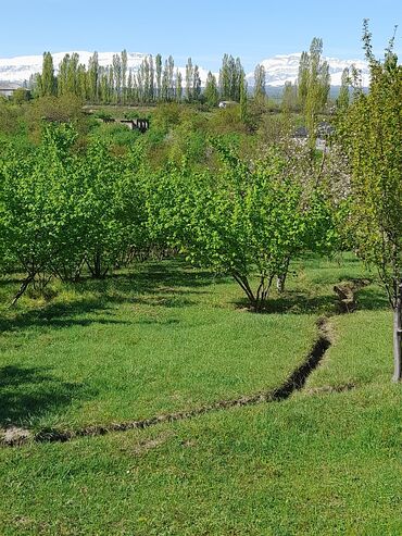 Həyət evləri və villaların satışı: 3 otaqlı, 130 kv. m, Kredit yoxdur, Təmirsiz — 15