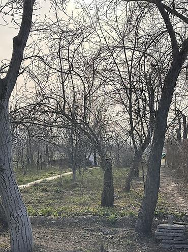 алтын казык ж м: 6 соток, Для бизнеса, Красная книга, Тех паспорт, Договор купли-продажи — 6