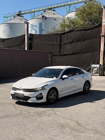 k5 optima: Kia K5: 2020 г., Лифтбек — 2