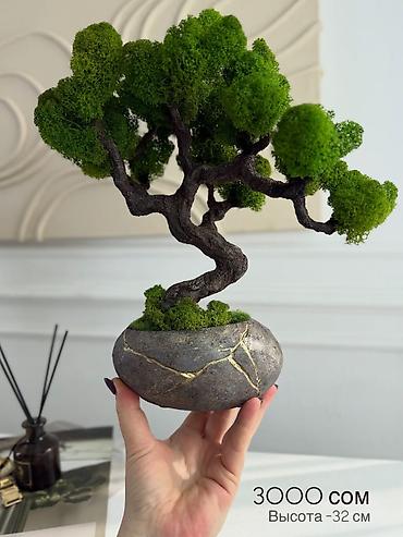 Декоративные цветы: Бонсай ручной работы из натурального стабилизированного мха от 1500 — 49