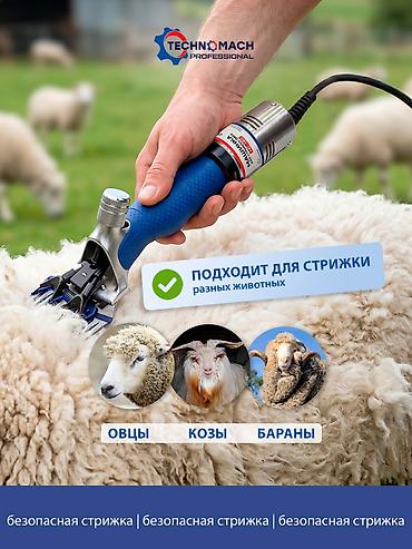 Товары и оборудование для с/х животных: Овцестрижка, которая не греется при работе! ⠀ В компании «Техномаш» — 11