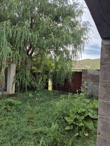 Продажа домов: Дом, 57 м², 3 комнаты, Собственник, Старый ремонт — 2