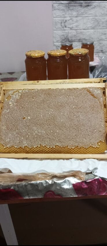 Digər qida məhsulları: Təbii arı məhsulları – süzülmüş bal və pətək bal ENDİRİM EDİLE BİLER -