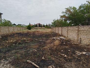 fatmayı: 12 sot, Tikinti, Maklerlər narahat etməsin, Kupça (Çıxarış) — 5