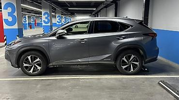 byd e3: Lexus NX: 2020 г., Гибрид, Кроссовер — 4
