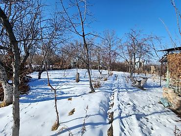 Продажа участков: 5 соток, Для строительства, Красная книга, Договор купли-продажи — 5