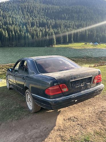 byd t5: Mercedes-Benz E-Class: 1996 г., 2.2 л, Механика, Бензин, Седан — 1