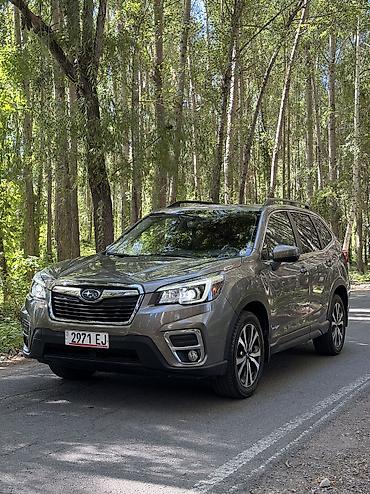 subaru forester цены: Subaru Forester: 2020 г., 2.5 л, Автомат, Бензин, Внедорожник — 1