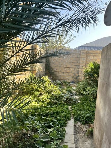 Həyət evləri və villaların satışı: 6 otaqlı, 100 kv. m, Kredit yoxdur, Orta təmir -da lalafo.az — 13 Həyət evləri və villaların satışı: 6 otaqlı, 100 kv. m, Kredit yoxdur, Orta təmir — 13