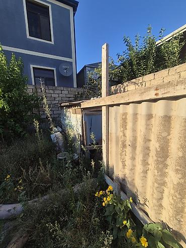 torpaq kreditle: 17 sot, Tikinti, Maklerlər narahat etməsin, Kupça (Çıxarış) — 10