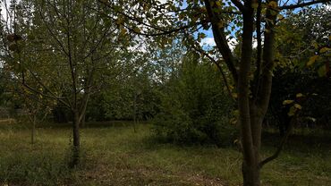 Torpaq sahələrinin satışı: 15 sot, Tikinti, Makler, Kupça (Çıxarış) — 6