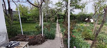 Продажа дач: Продаётся дача с домом и ухоженным участком (с. Нижняя Серафимовна, ДТ — 13