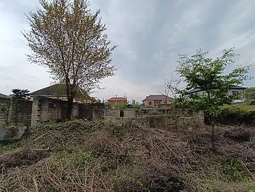 Torpaq sahələrinin satışı: 6 sot, Tikinti, Mülkiyyətçi, Texniki pasport — 10