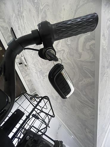 velesiped: Elektrik velosipedi – MANLIMA şəhər modeli - Güclü arxa mərkəz — 10