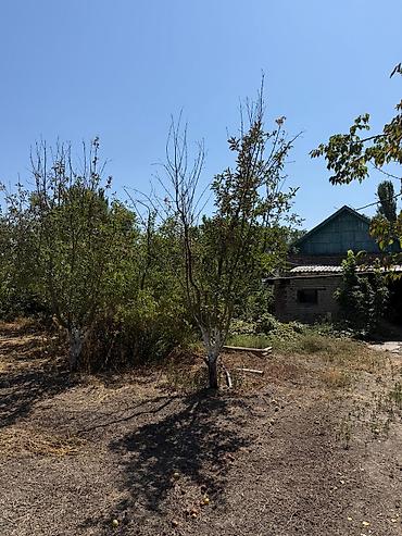 чон арык дом: 🏡 Продаётся участок 16 соток с двумя домами и действующим магазином — 10