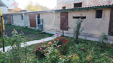 Продажа коттеджей и домов: Продажа коттеджей и домов — 3